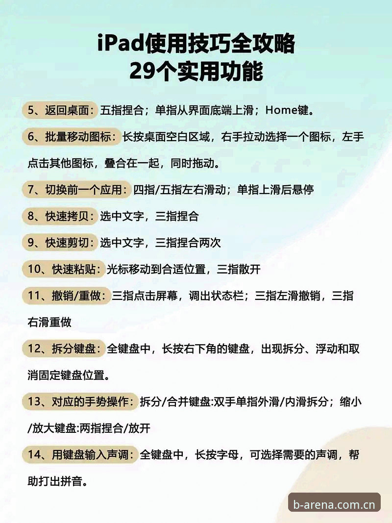 BSports使用教程必备 揭秘BSports使用教程必备:这些操作细节你不知道的事